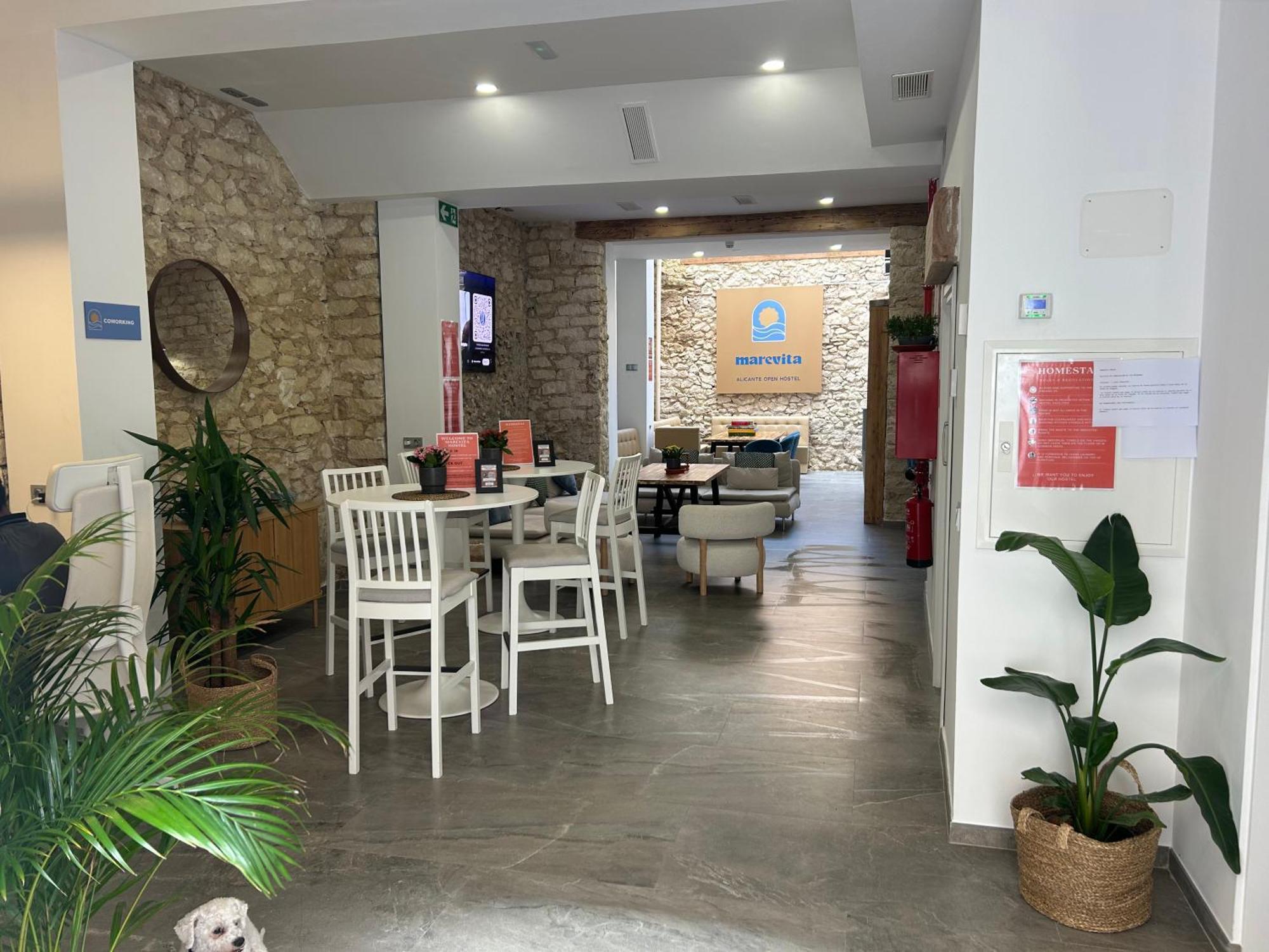Marevita Hostel-Quiet & Super Hygienic Hostel With Privacy Beds-Ideal For Winter Stays - Alicante, Alicante